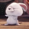 Rabbit J ⊙⊝⊜ 的头像