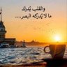 مشـــــاري 的头像