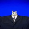 Heisencheeseburger's profile picture
