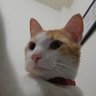 _35bowie 🇨🇴's profile picture