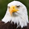 Sam's profile picture