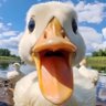 依旧 profil fotoğrafı
