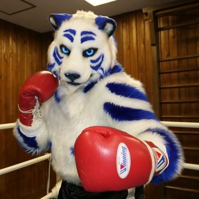 MikazukiKyo's profile picture
