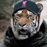Mateusz Dowgiało 🇵🇱🏴󠁧󠁢󠁳󠁣󠁴󠁿's profile picture