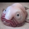 Yul Agirre's profile picture