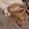 thymator profil fotoğrafı