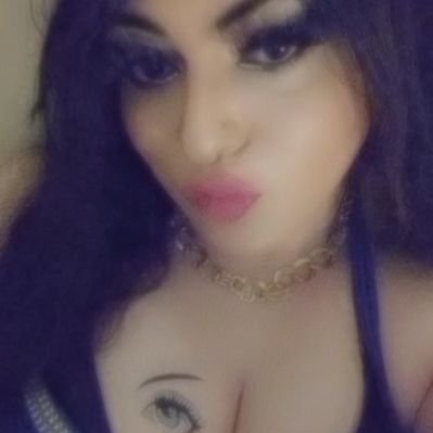راما الشيميل's profile picture