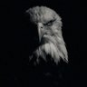 SadeceGezenti's profile picture