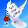 ابو/جهادالشميري's profile picture