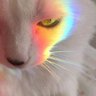 Profilbild von roxana