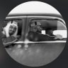 Salman's profile picture