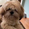 Jk J's profile picture