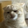 ðĪððð ðŦ profil fotoÄrafÄą