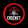Profilbild von CRICKET BATTLES