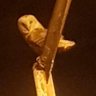BKol profil fotoğrafı