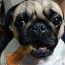 Serch's profile picture