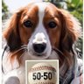黄色いバス(大谷選手応援💙⚾LA💙) 的头像
