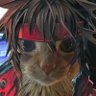 Profilbild von Powergidu222