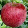 JuanGallo_#Red_AmLove profil fotoğrafı