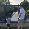 Matt Turgeon profil fotoğrafı