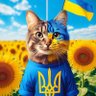 Profilbild von シアンバルウルクス2024