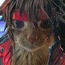 Profilbild von J_