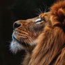 م . ممدوح الصقري 的头像