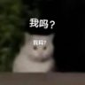 狂吃饭's profile picture