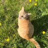 Profilbild von -Jcmeza02-