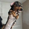Kallon Leggy's profile picture