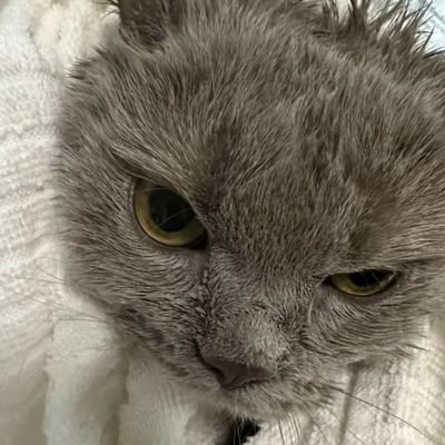userprettyG's profile picture