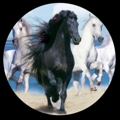 naser_240's profile picture
