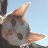 osrevinu's profile picture