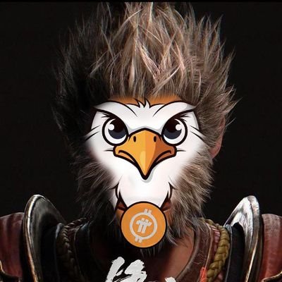 zht8454's profile picture