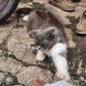 Profilbild von andra