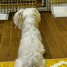 Profilbild von 坊主