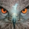 Xkruzgan profil fotoğrafı