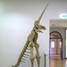 nemull profil fotoğrafı