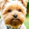 Profilbild von Leonardo