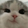 Profilbild von ๐๐๐๐๐๐๐๐๐๐ | (ร,G) | .ink