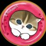 るり profil fotoğrafı