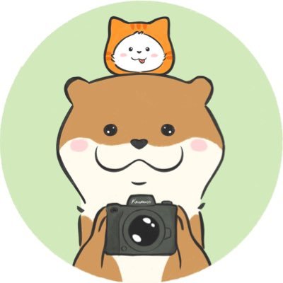 kawauso_ottter's profile picture