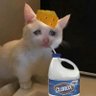 ItsLameTime's profile picture
