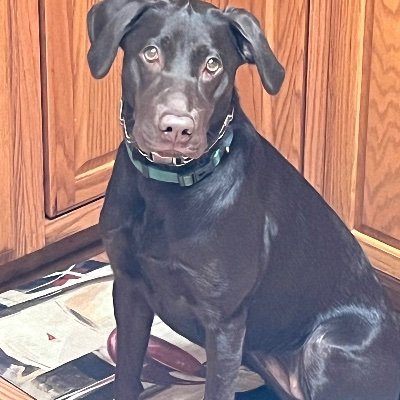blairbehr03's profile picture
