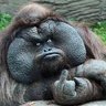 Nunya Bidnis's profile picture