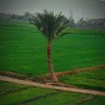 Profilbild von Elsaedy22