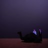 Фото профиля Faris Alotaibi