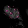 CloverClover_ 的头像