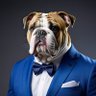 Frank White profil fotoğrafı