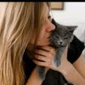 Amor gatuno 的头像